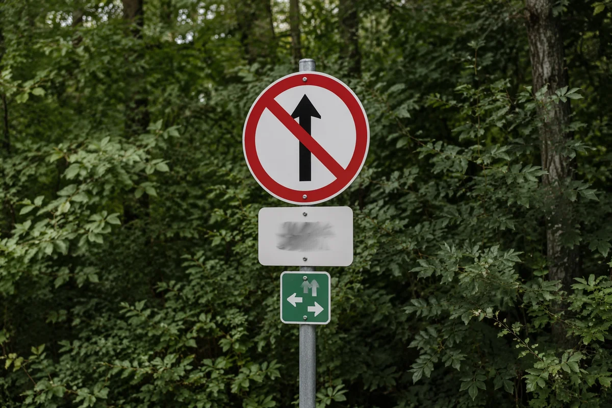Red Arrow Warning Sign in Green Woodland