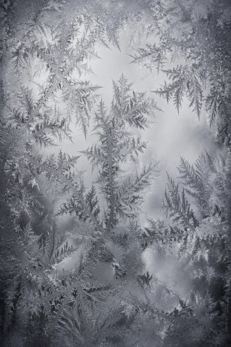 Abstract Frost Patterns on Glass Window