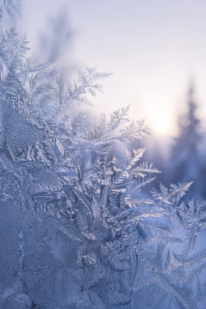 Delicate Frost Patterns on Winter Window