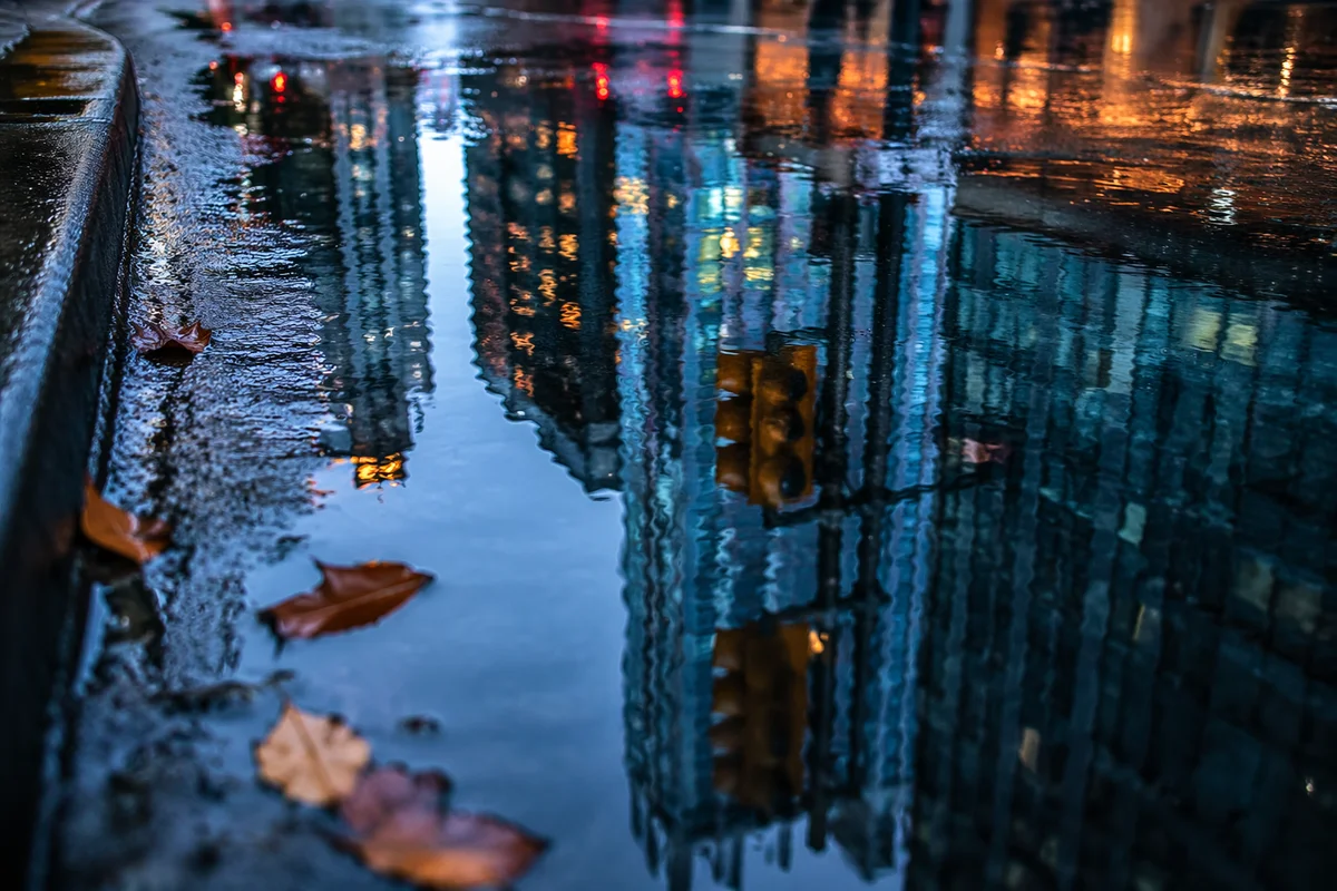 Blue Hour Urban Puddle Reflections