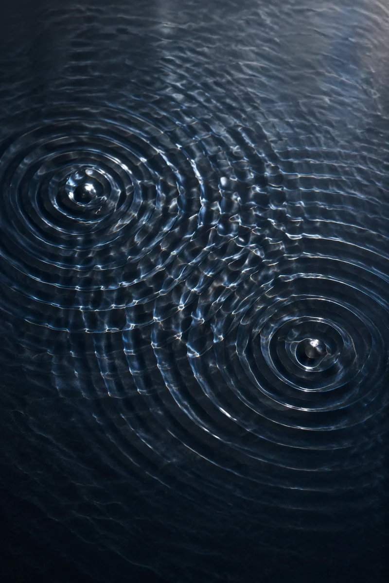 Meditative Wave Interference on Dark Water