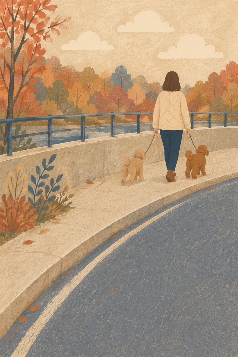 Autumn Dog Walk Along Quiet Sidewalk