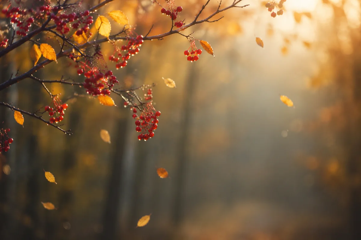 Golden Autumn Branches with Red Berries