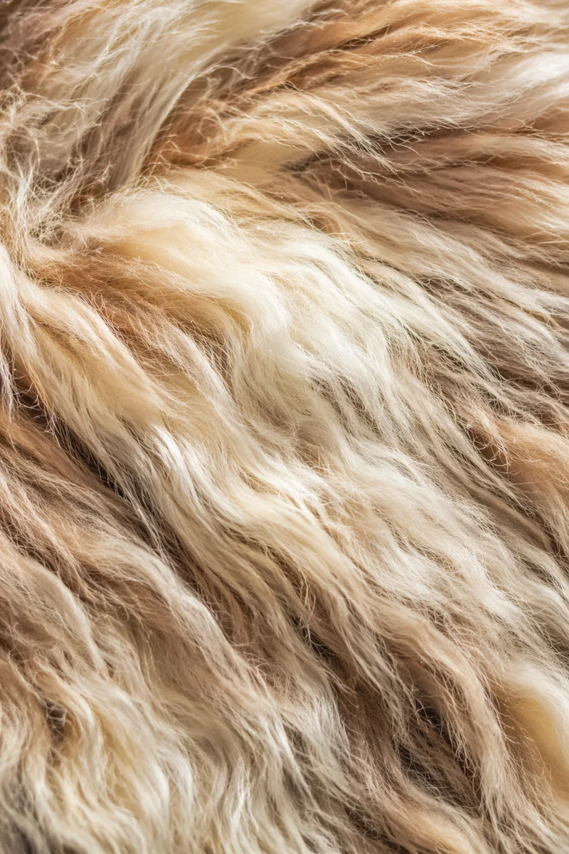 Warm Beige Wool Texture Background