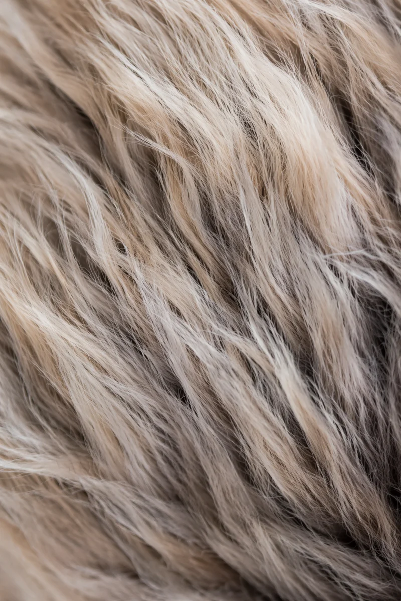 Warm Cream Brushed Wool Texture Background