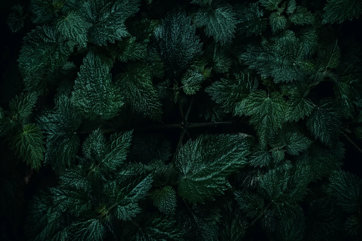 Dark Botanical Cross Background