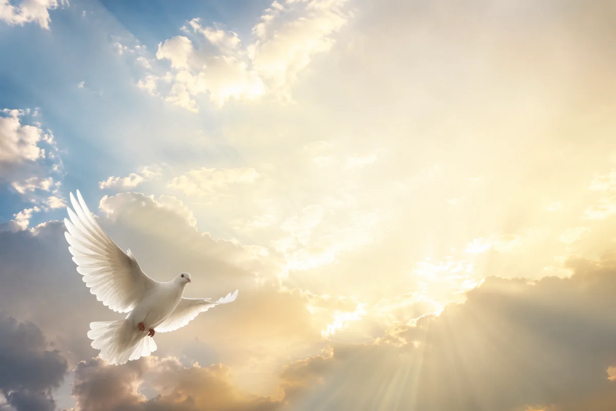 White Dove Rising in Radiant Sky