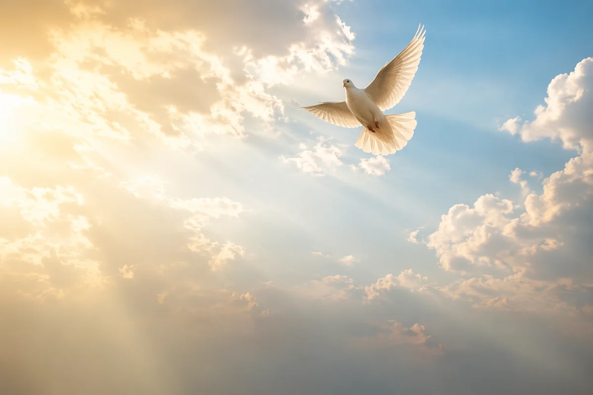 White Dove in Sunlit Cloudy Sky