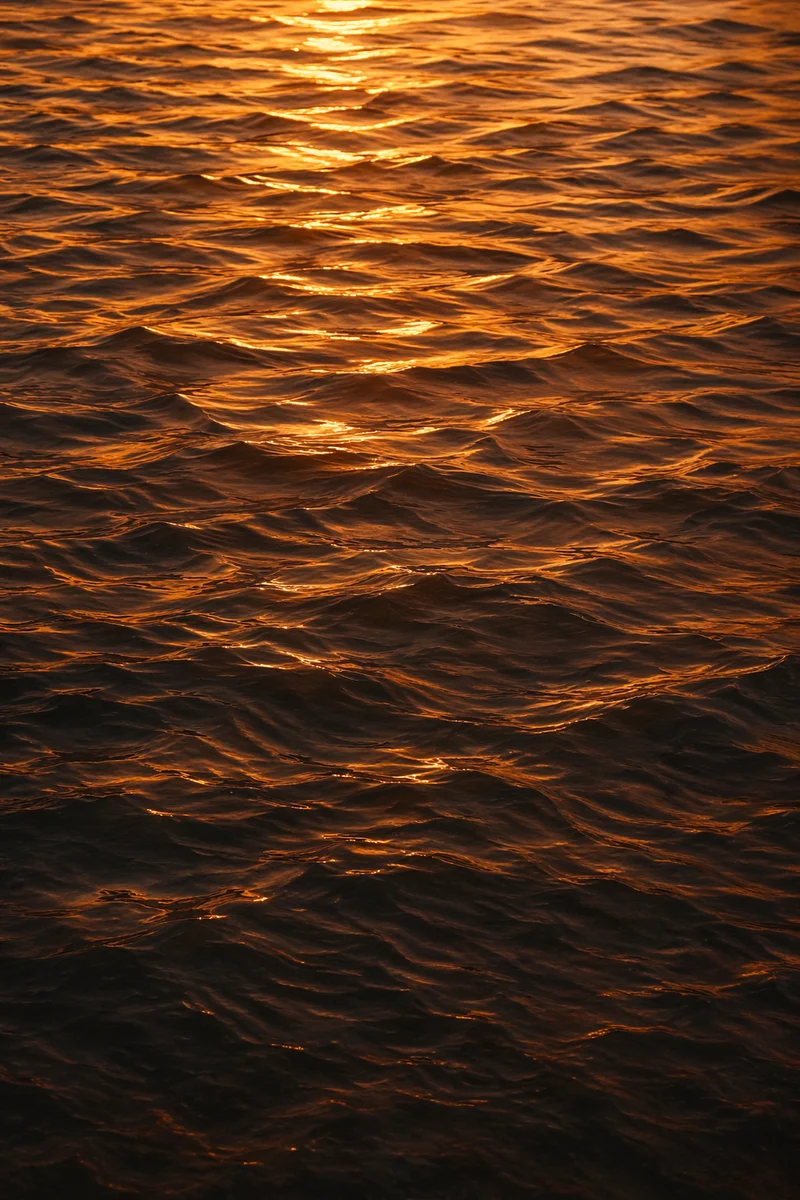 Golden Reflections on Flowing Water Surface
