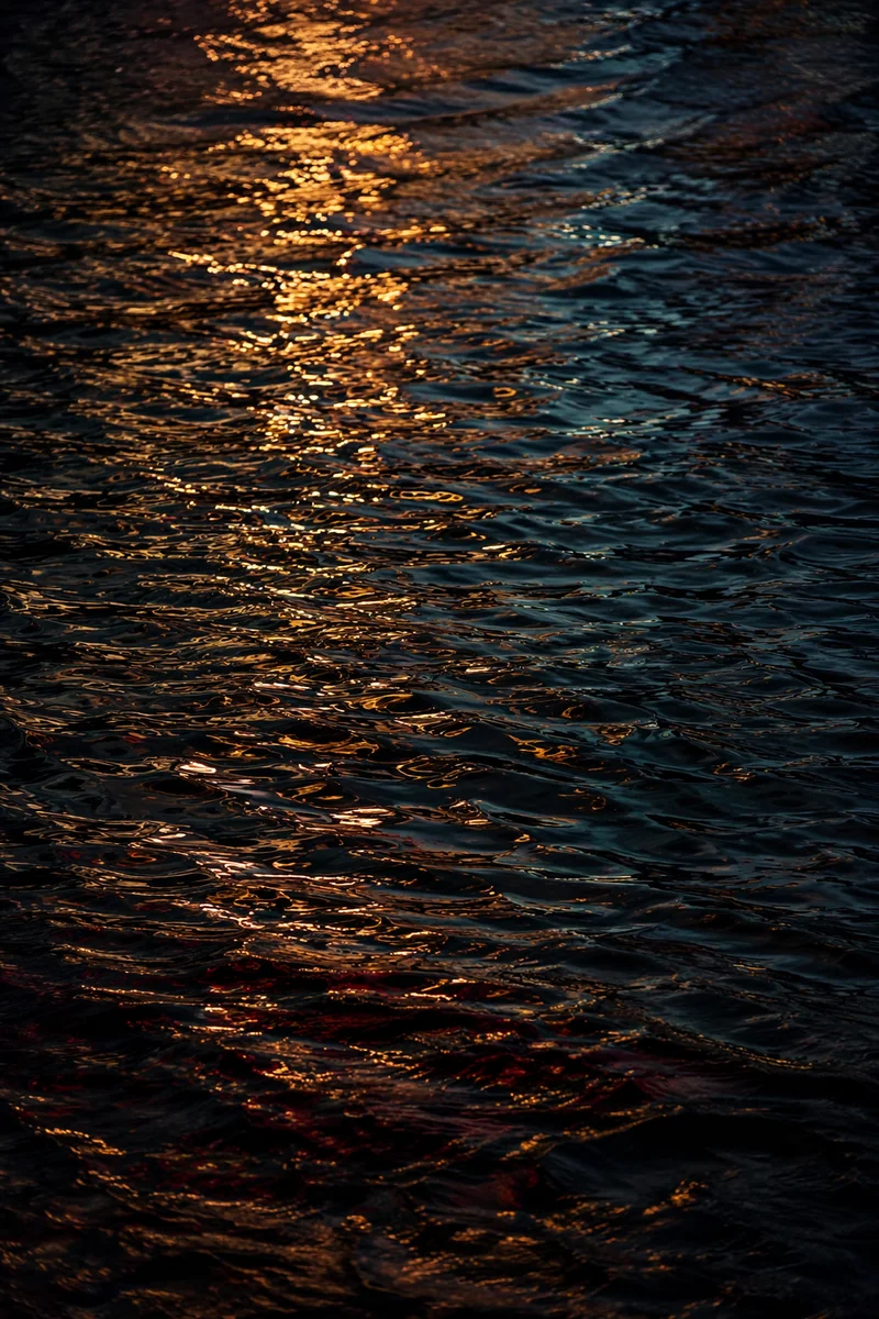 Golden Reflections on Flowing Dark Water