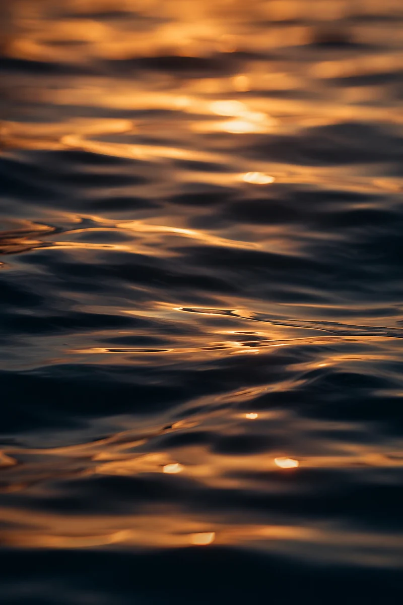 Golden Reflections on Flowing Water