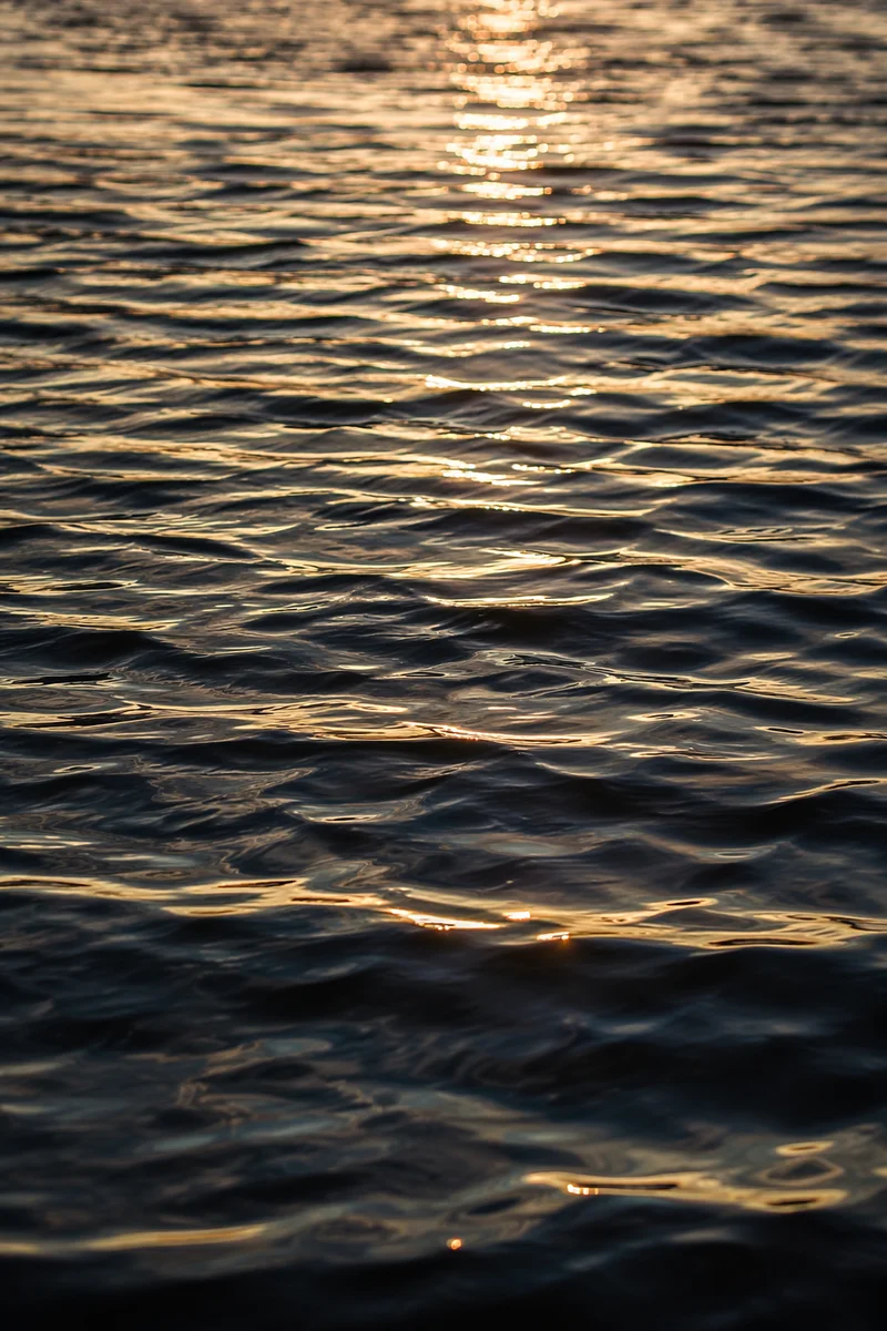Golden Light on Flowing Water Surface