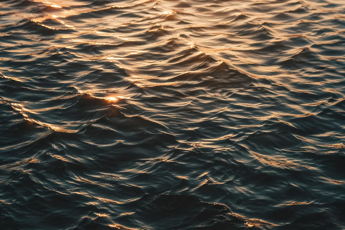 Golden Reflections on Flowing Water