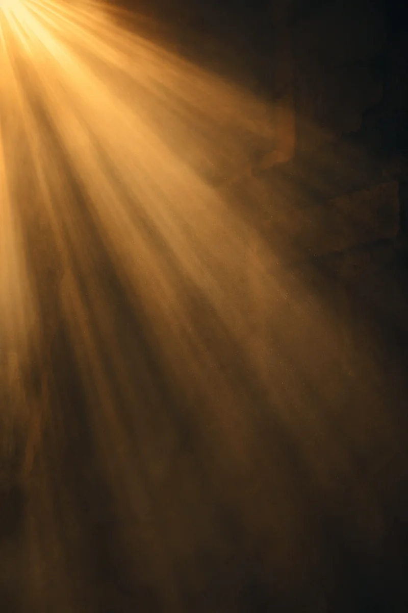 Golden Light Rays in Morning Mist