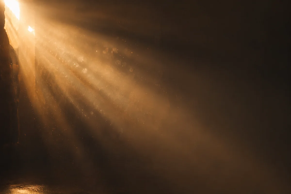 Golden Light Rays in Morning Mist