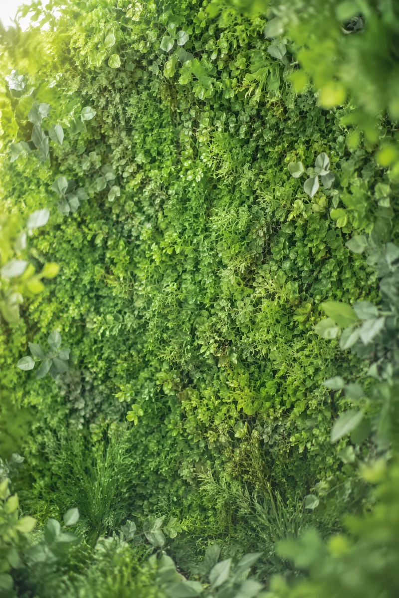 Fresh Natural Green Leaf Background