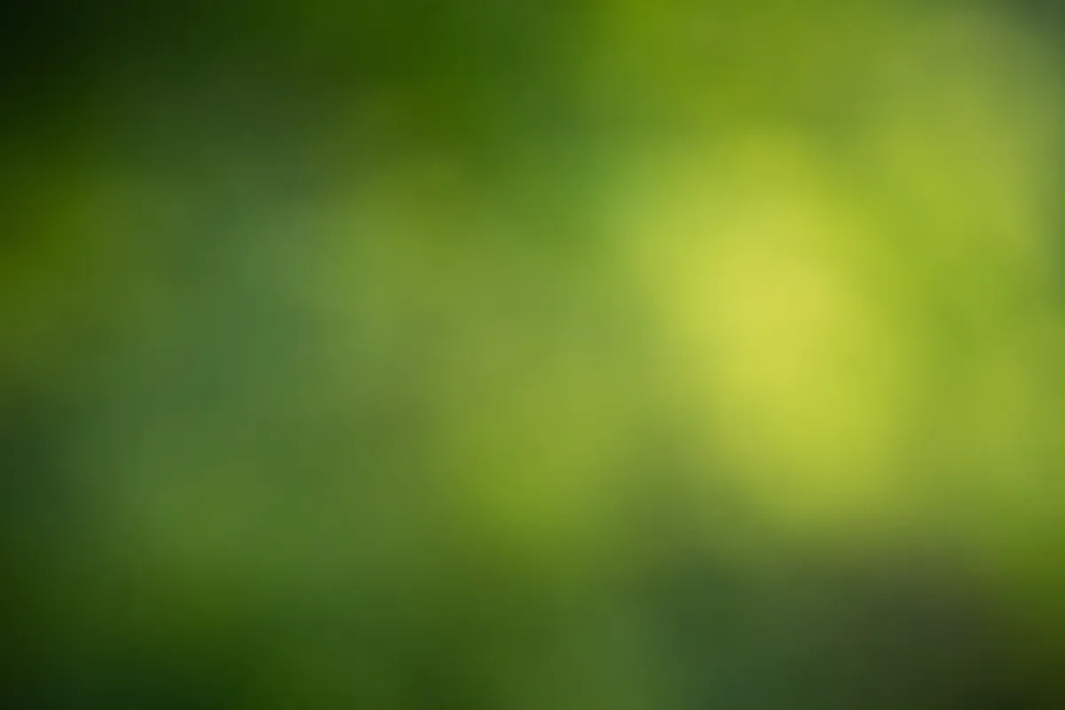 Fresh Natural Green Copy Space Background