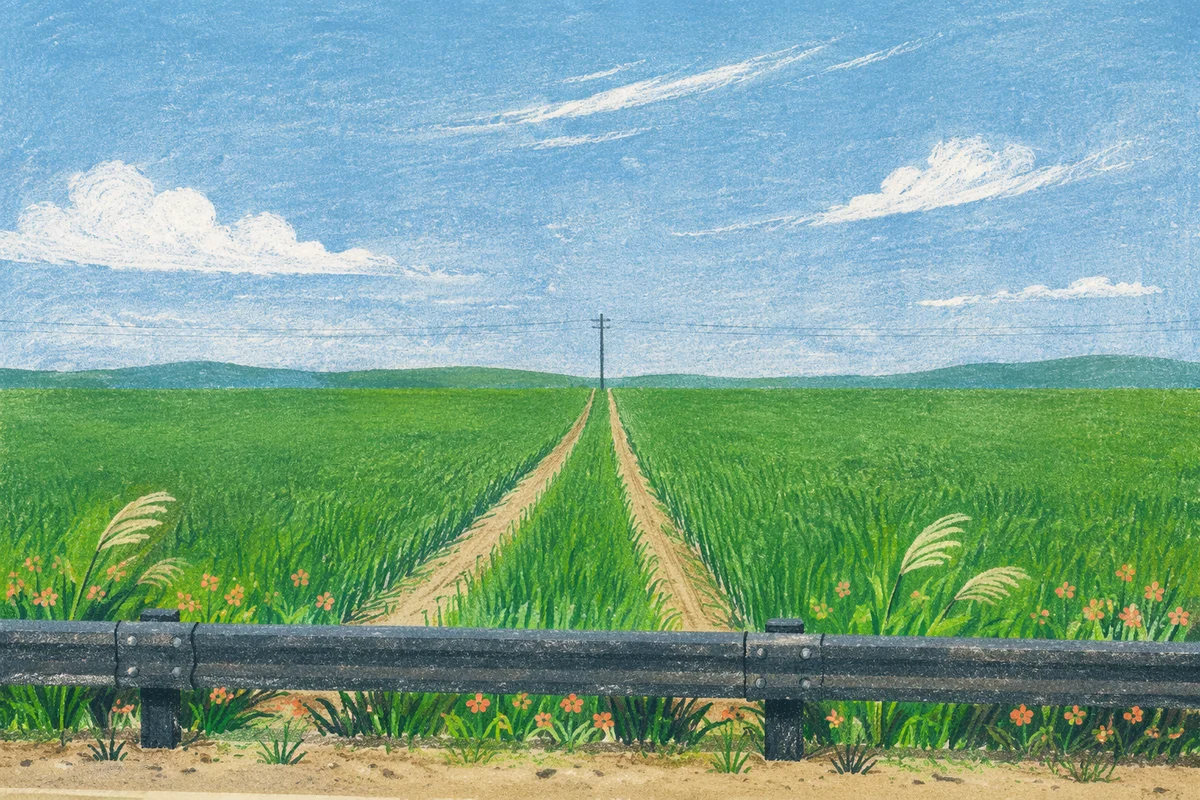 Green Field Horizon Under Blue Sky