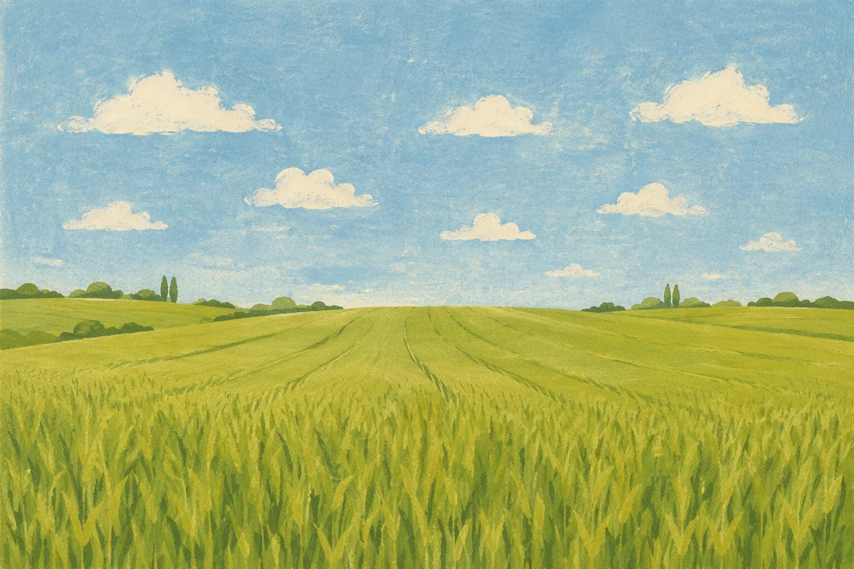 Green Field and Expansive Blue Sky