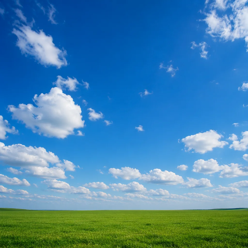 Endless Green Meadow Under Blue Sky