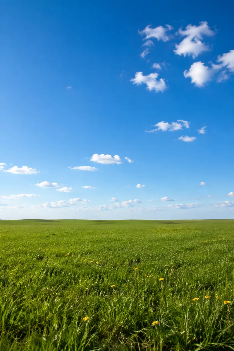 Open Green Meadow Under Vast Blue Sky