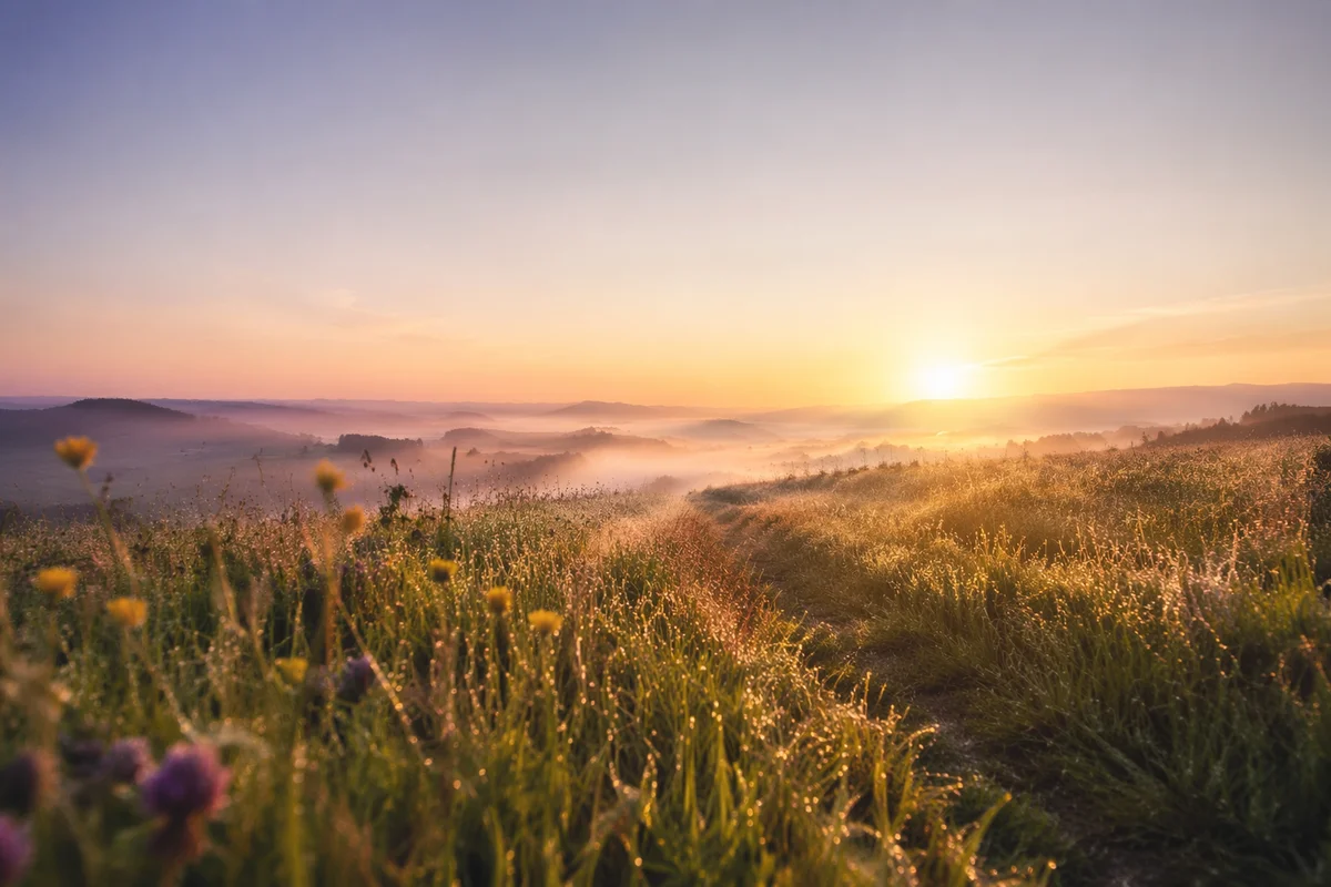 Mercies New Every Morning Sunrise Meadow