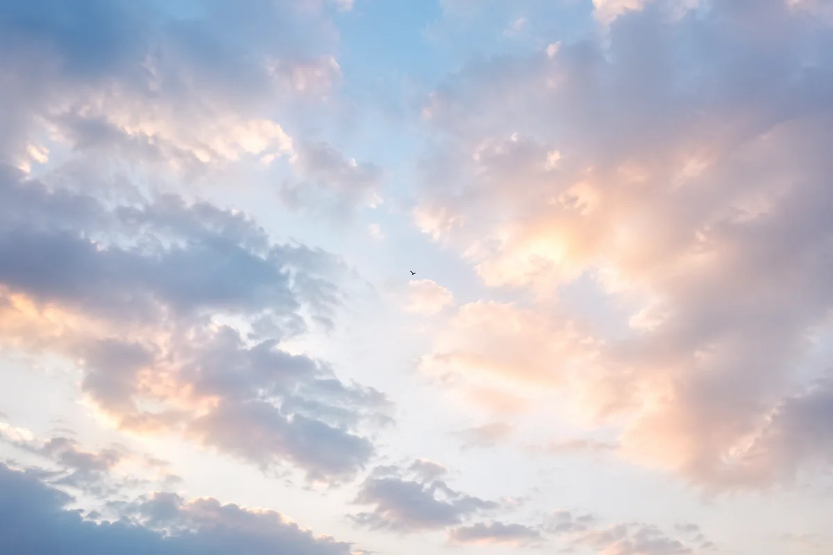 Soft Pastel Sky With Distant Bird