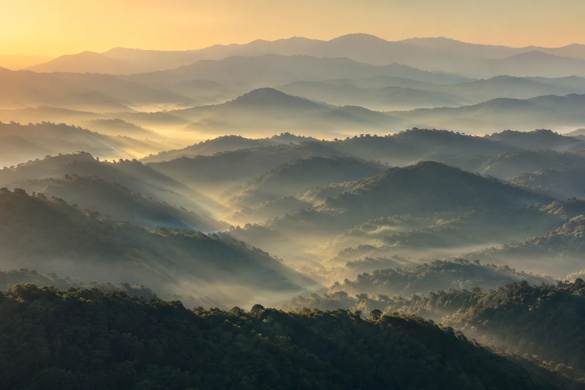 Misty Mountain Valley Dawn Light Rays