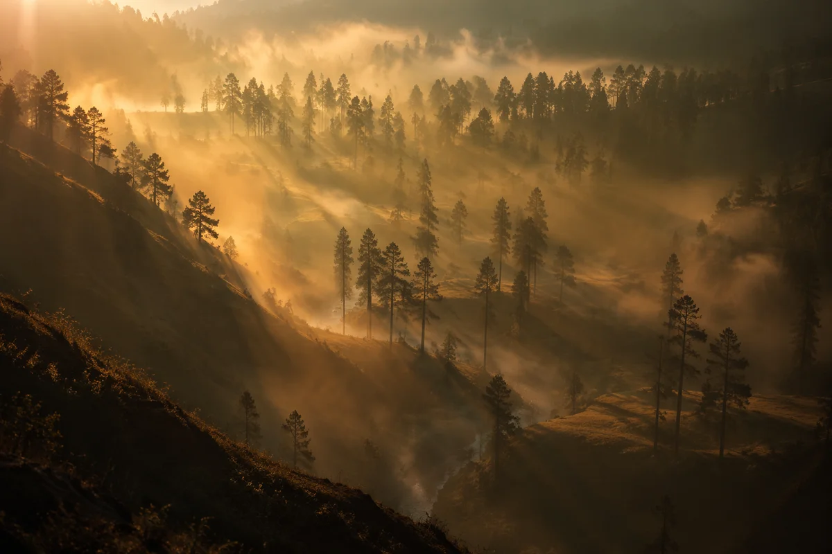 Misty Mountain Valley with Dawn Sunbeams
