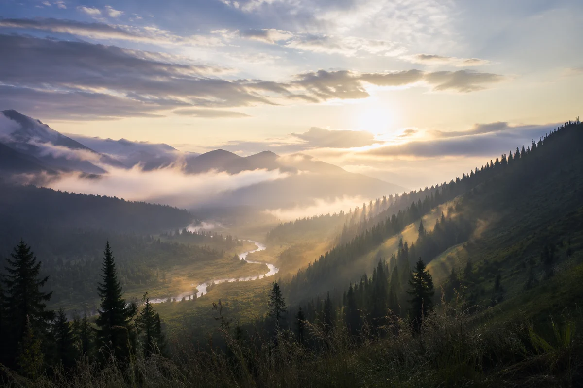 Misty Mountain Valley Dawn Light Rays