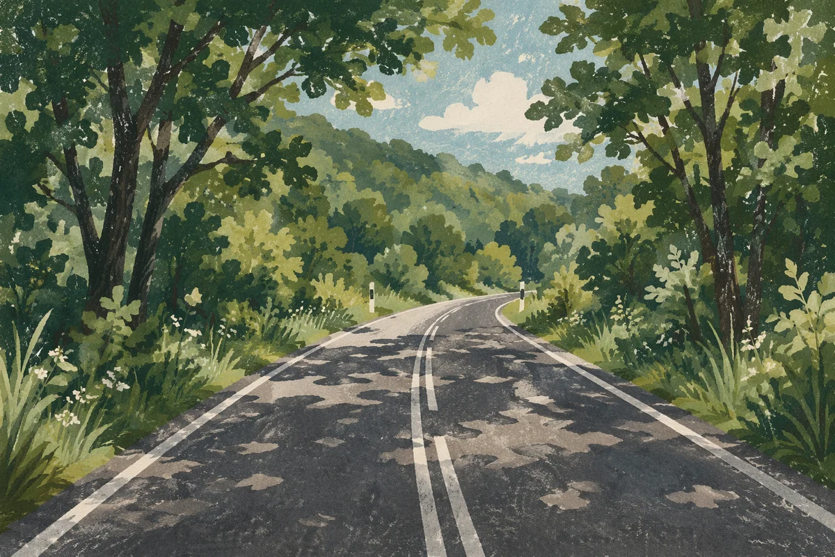 Green Forest Road Nature Background