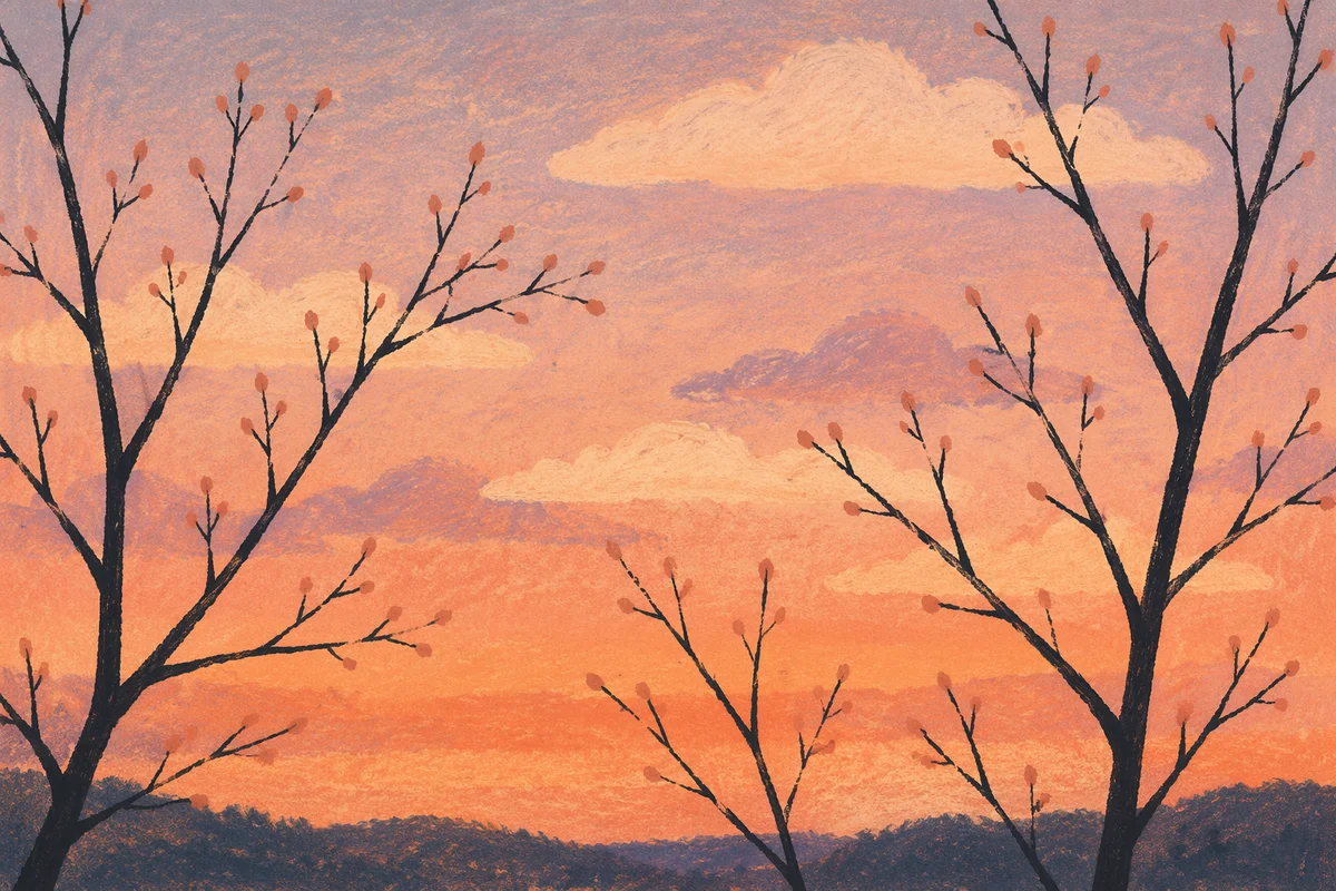 Pastel Twilight Sky with Branch Silhouettes