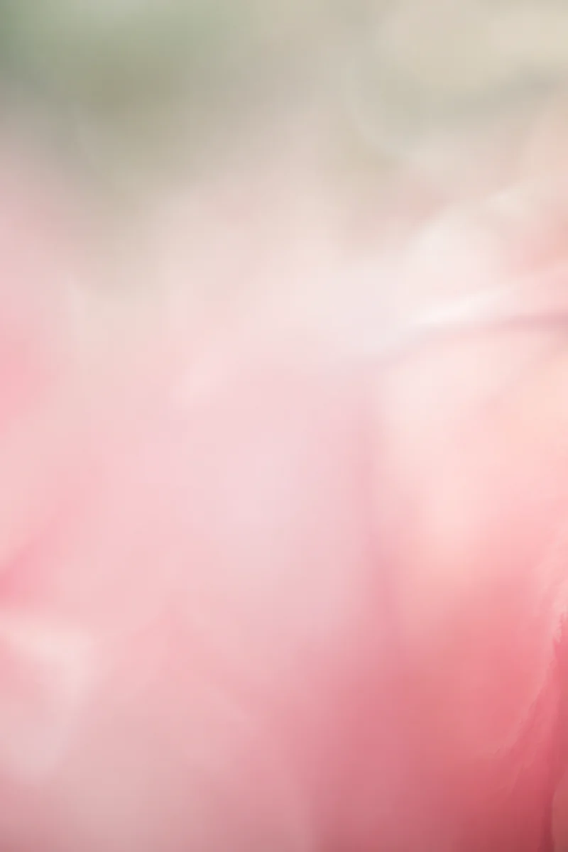 Soft Pink Pastel Gradient Background