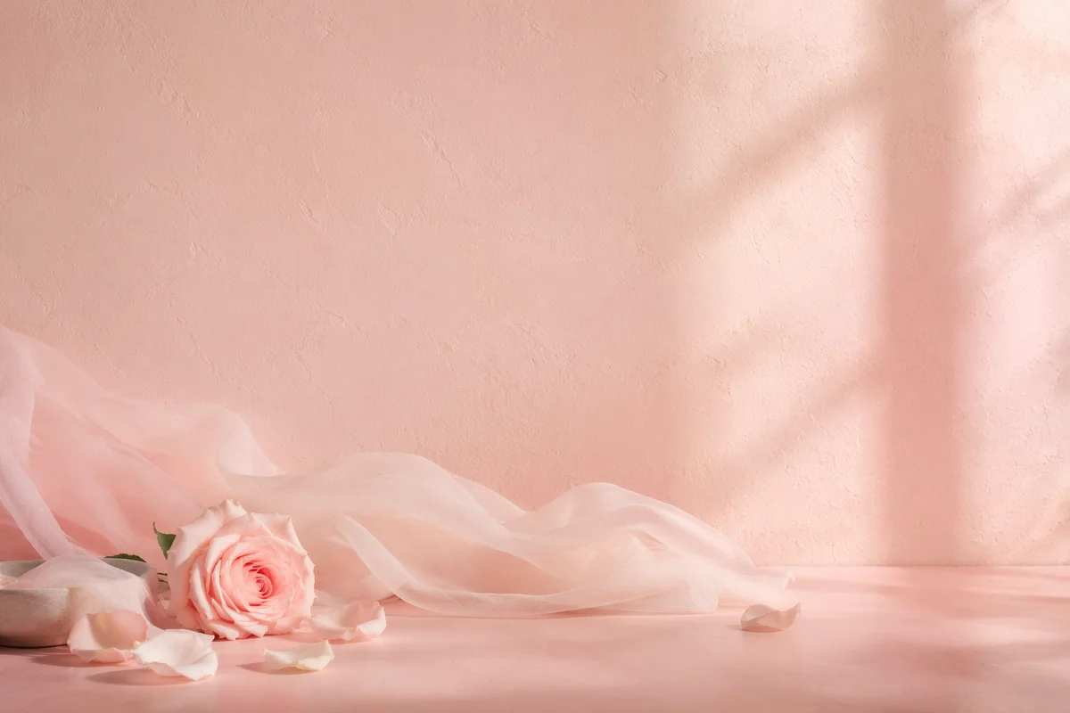 Soft Blush Pink Feminine Pastel Background