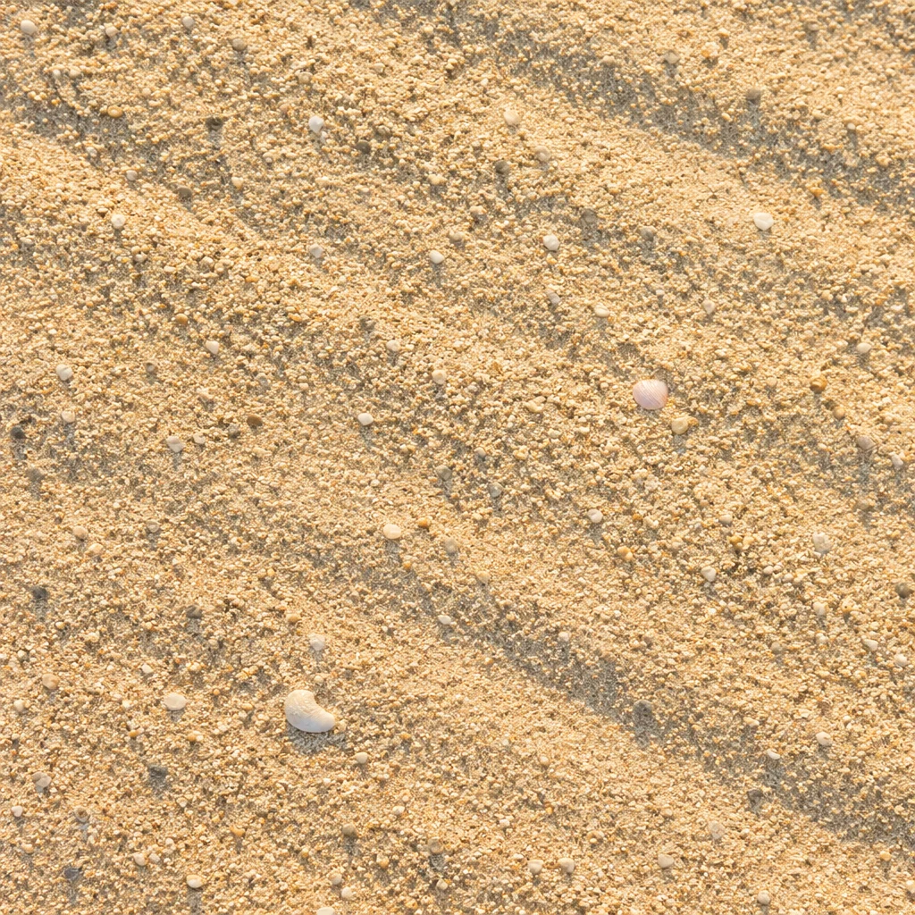 Sunlit Beach Sand Texture Background