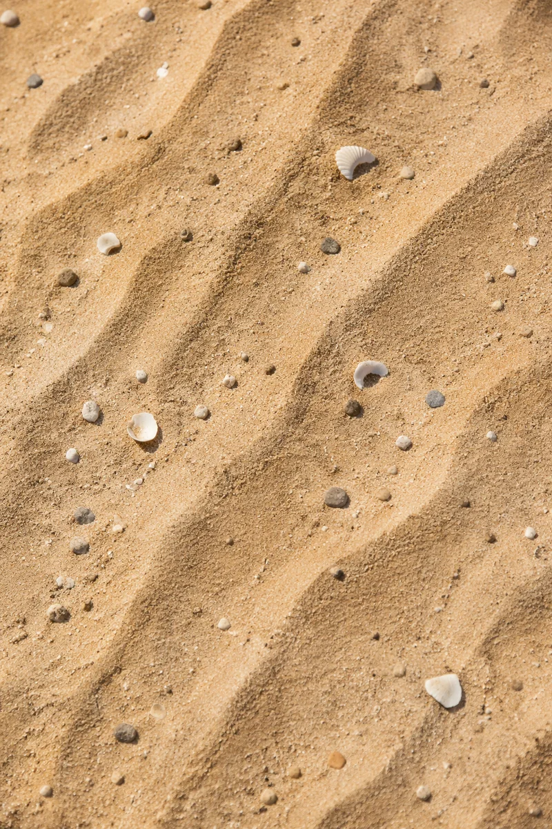 Golden Beach Sand Texture Close Up