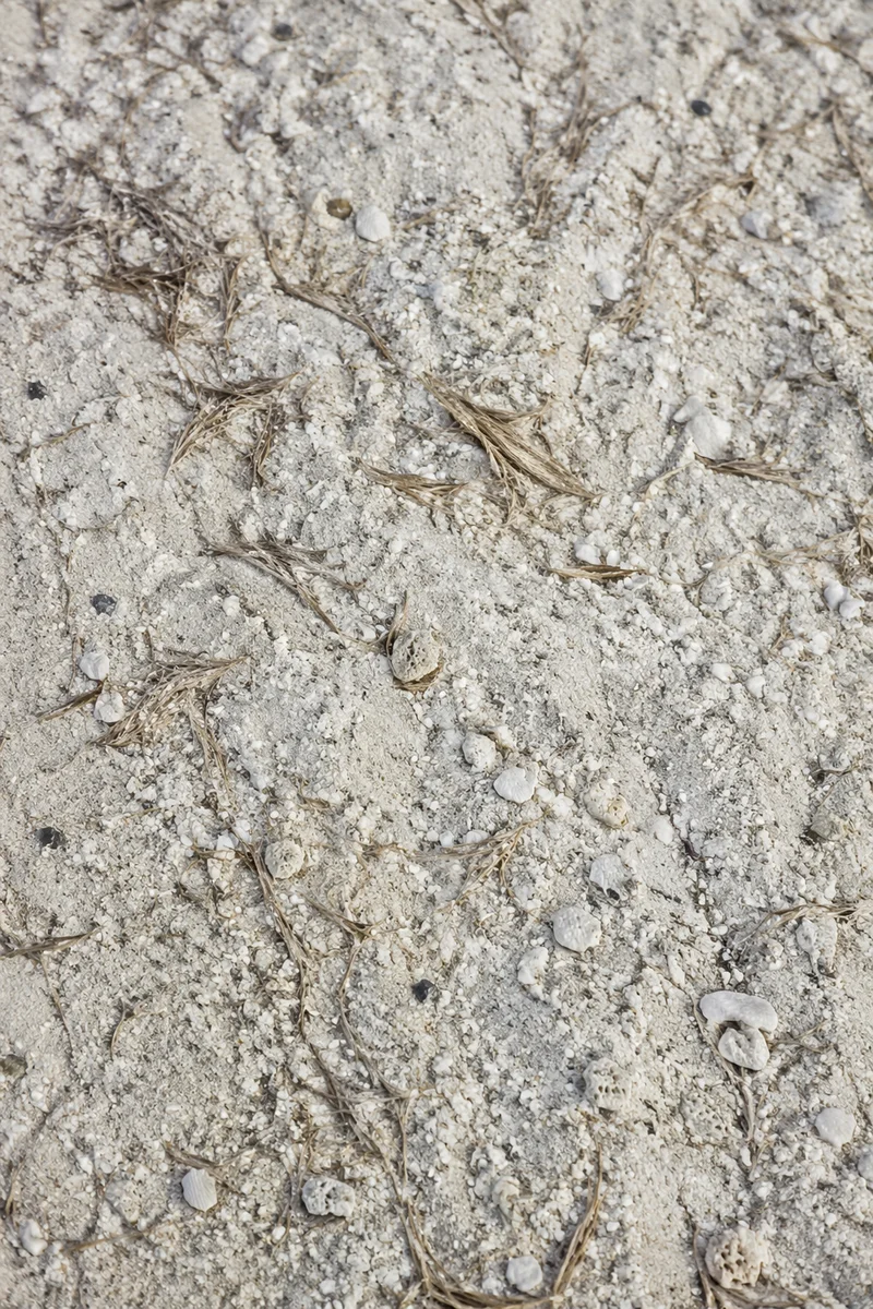 Pale Beach Sand Macro Texture Background