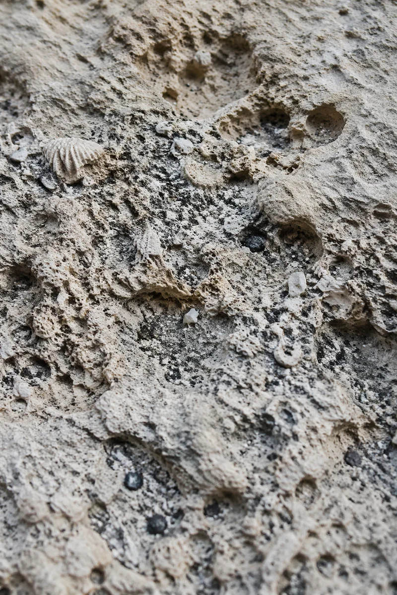 Weathered Beach Sand Macro Texture
