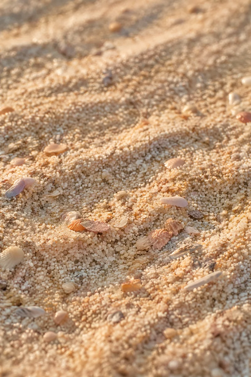 Close Up Beach Sand Texture