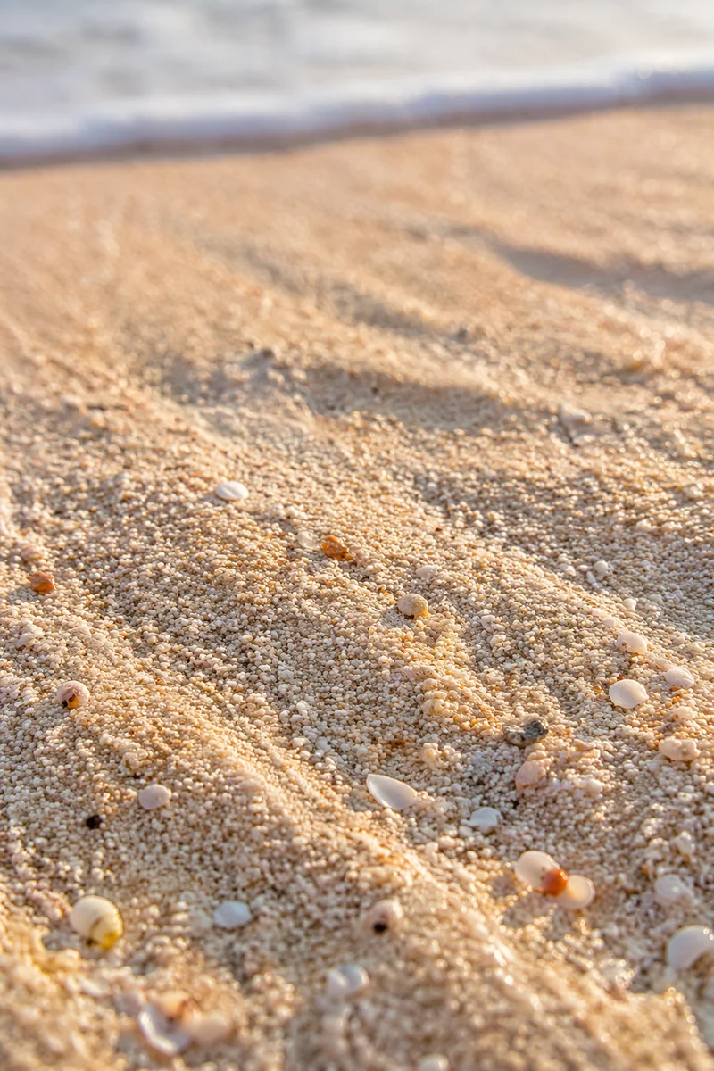 Macro Beach Sand Texture Background