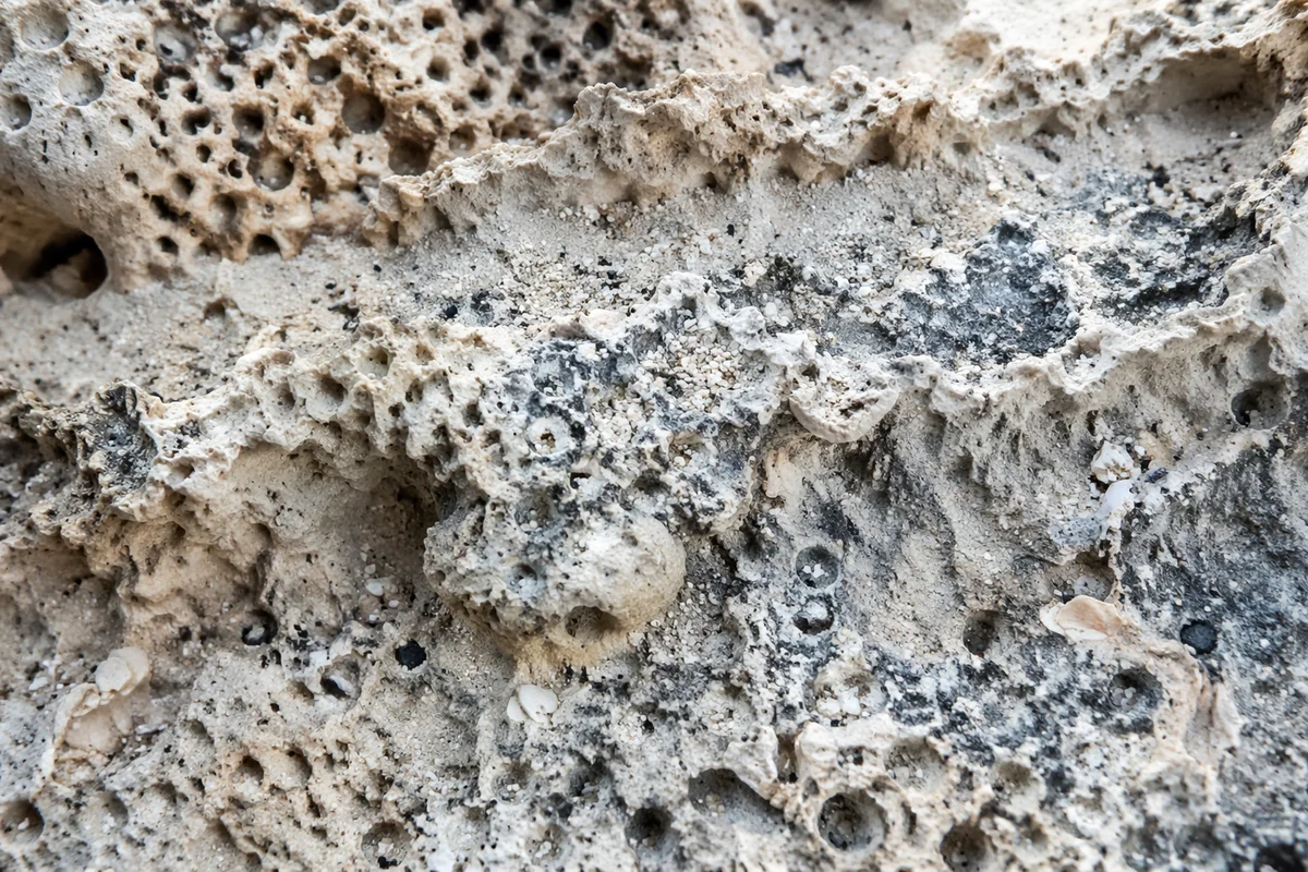 Macro Weathered Beach Sand Texture Background