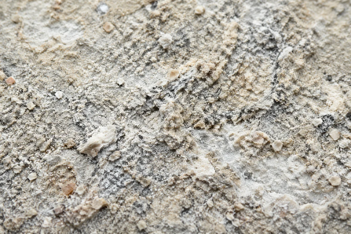 Coarse Beach Sand Macro Texture