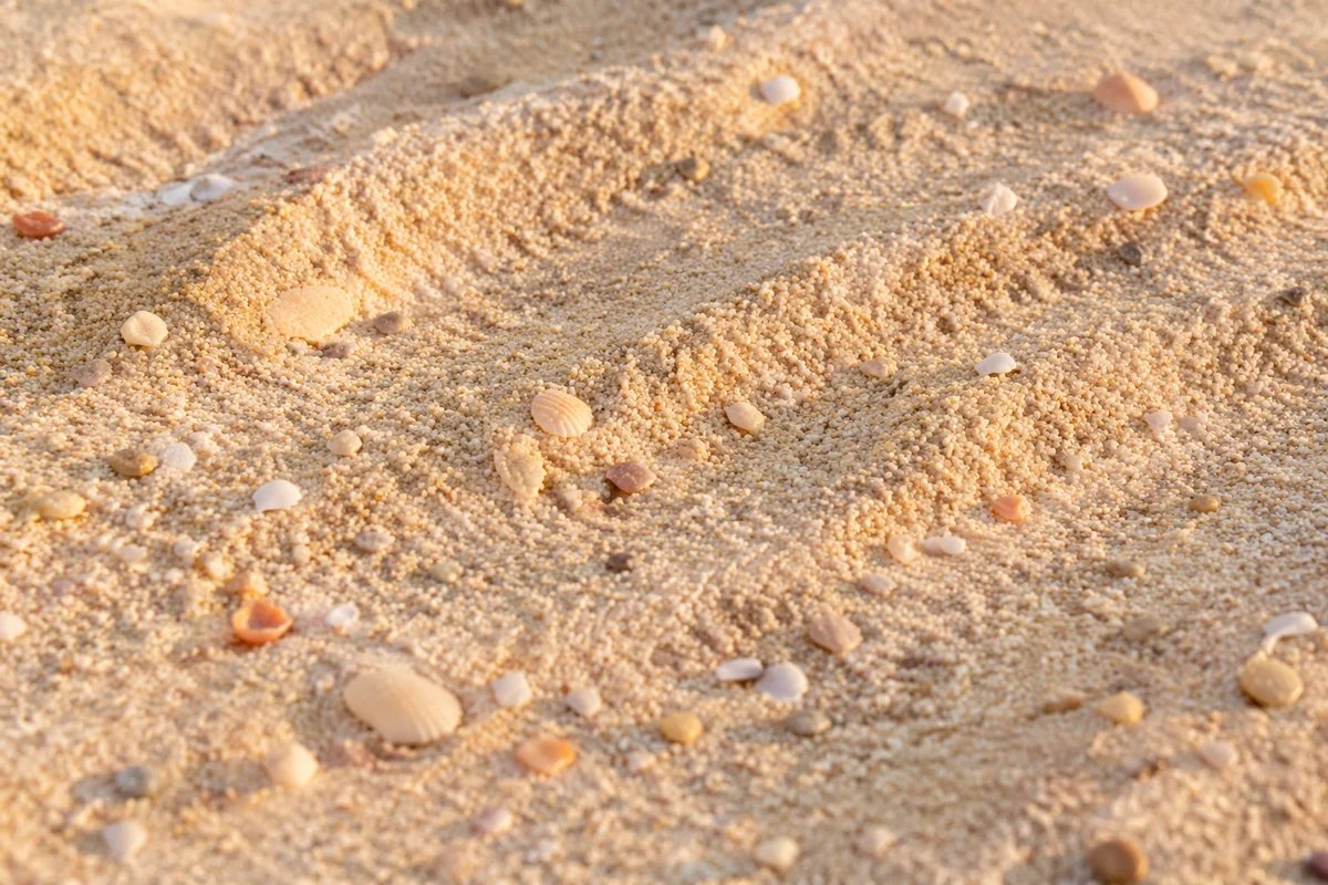 Close Up Beach Sand Texture Background