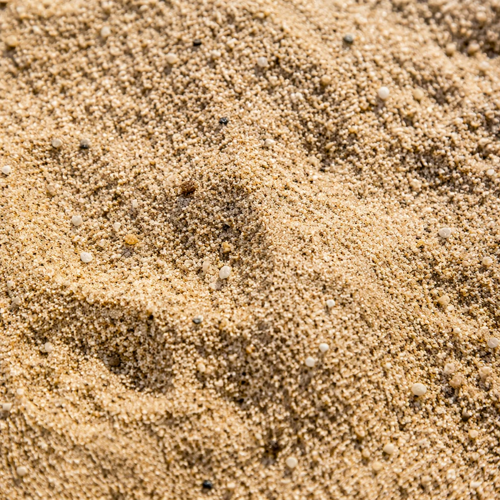 Photorealistic Beach Sand Macro Texture