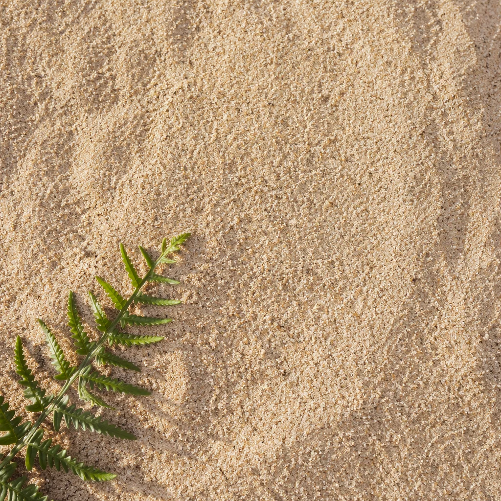 Fine Beach Sand with Coastal Fern