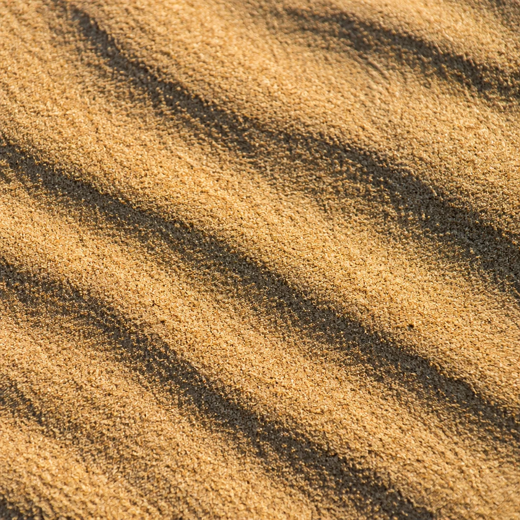 Golden Beach Sand Ripple Texture