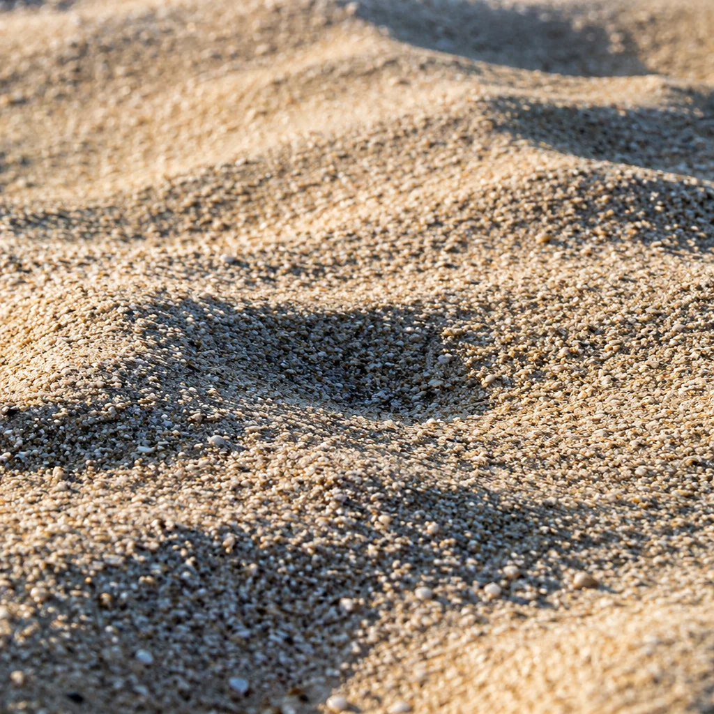 Golden Beach Sand Texture Close Up