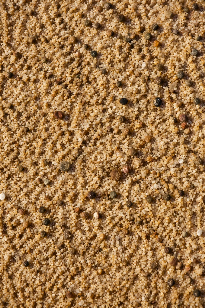 Photorealistic Beach Sand Macro Texture