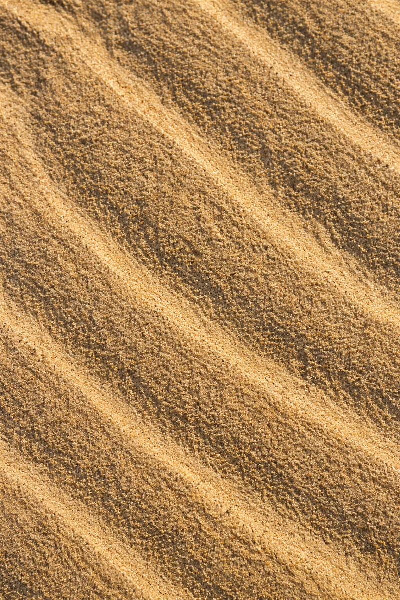 Golden Beach Sand Ripple Texture