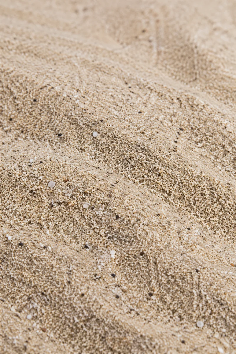 Photorealistic Beach Sand Texture Close Up